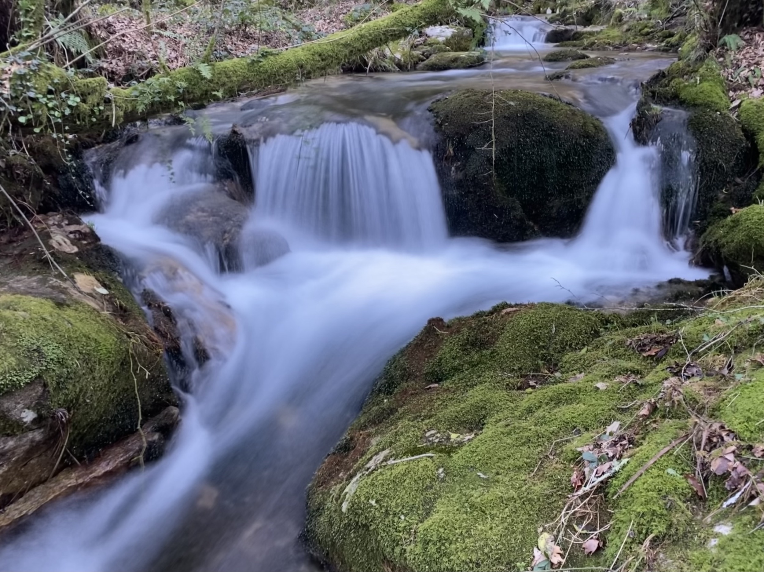 Asamblea xeral de comuneiros